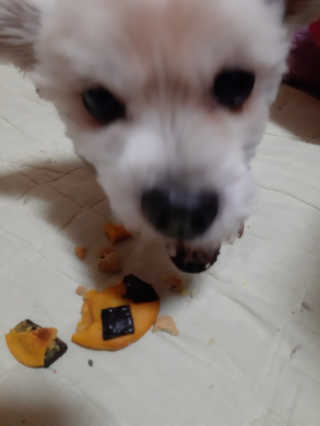 moomoon님이 올린 리뷰 사진 4