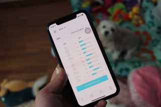 핏펫 어헤드 — 5점을 준 리뷰어가 2019년 12월 올린 사용 사진