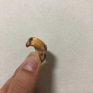 드림캐슈넛 50g X 6개 — 5점을 준 리뷰어가 2018년 10월 올린 사용 사진