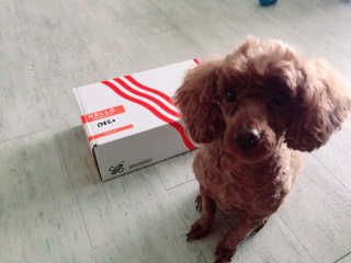 이종연님이 올린 리뷰 사진 1