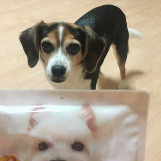 July님이 올린 리뷰 사진 1