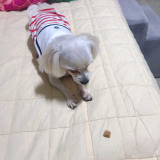 수찌님이 올린 리뷰 사진 3