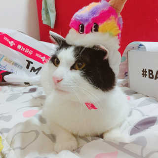 한라봉님이 올린 리뷰 사진 2