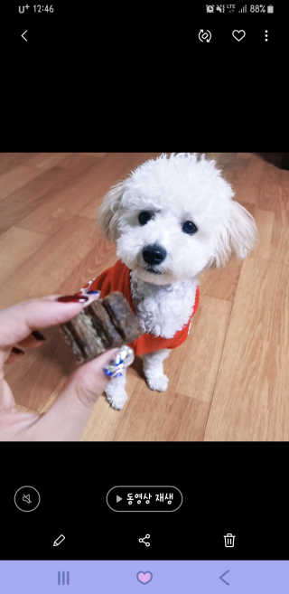 민동2님이 올린 리뷰 사진 1