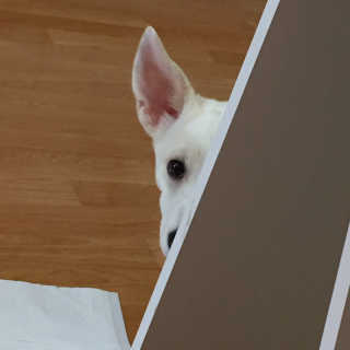 J님이 올린 리뷰 사진 1