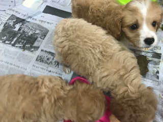 인정맘님이 올린 리뷰 사진 2