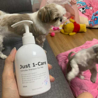 [펫토리아] 뚝딱케어 강아지 고양이 샴푸+미스트 SET — 5점을 준 리뷰어가 2020년 2월 올린 사용 사진