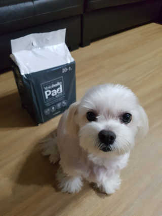 블링데코님이 올린 리뷰 사진 2