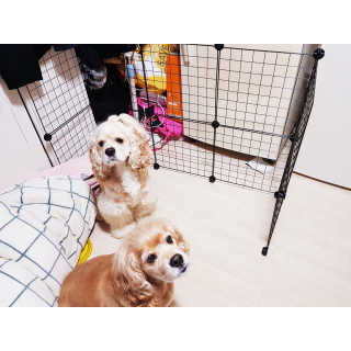 조소민님이 올린 리뷰 사진 2