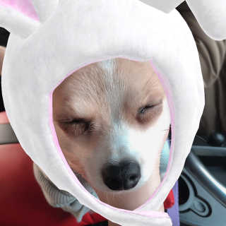 지영님이 올린 리뷰 사진 3