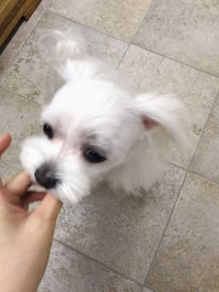 BoyoungShin님이 올린 리뷰 사진 2