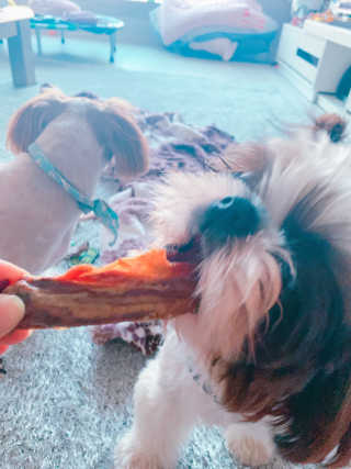 짱츄들님이 올린 리뷰 사진 3
