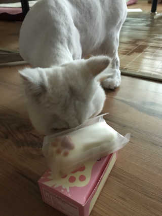 이써늬님이 올린 리뷰 사진 2