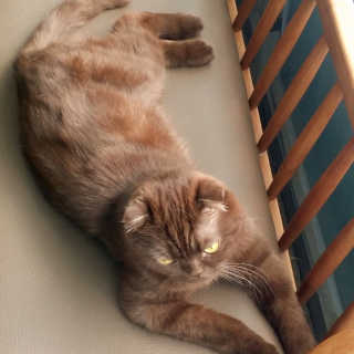 greentea님이 올린 리뷰 사진 4