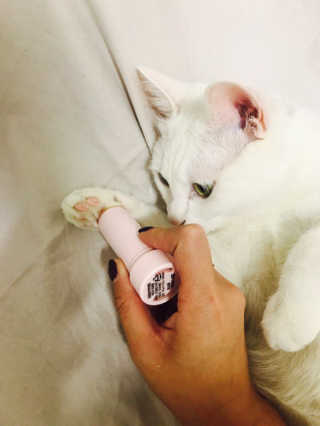 김쪼님이 올린 리뷰 사진 1