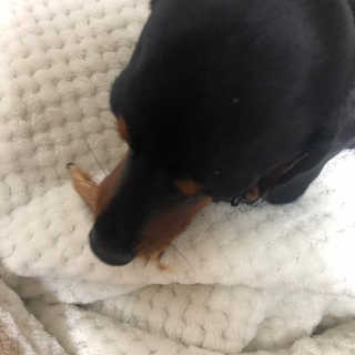 프리파라님이 올린 리뷰 사진 1