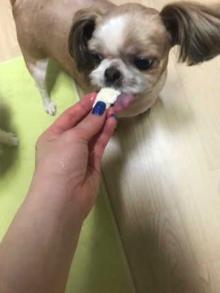 배유미님이 올린 리뷰 사진 2