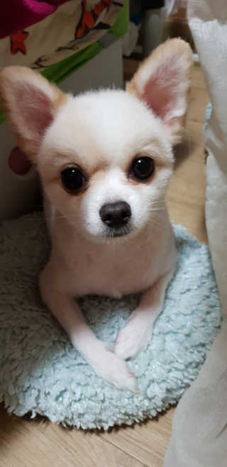 엣헴님이 올린 리뷰 사진 3