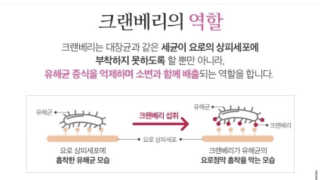 떳네그놈님이 올린 리뷰 사진 3