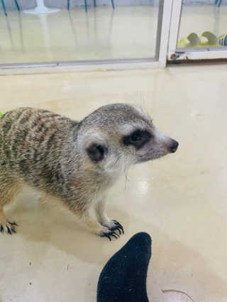 HannaKeem님이 올린 리뷰 사진 3