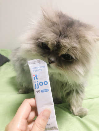 꼬끼오님이 올린 리뷰 사진 4