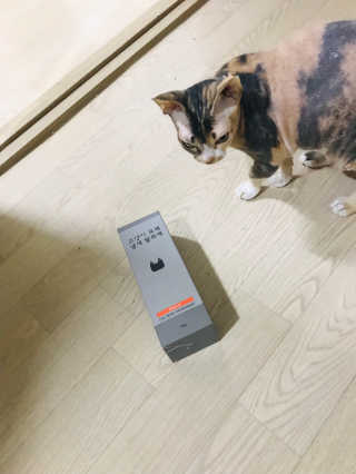 이아님이 올린 리뷰 사진 3