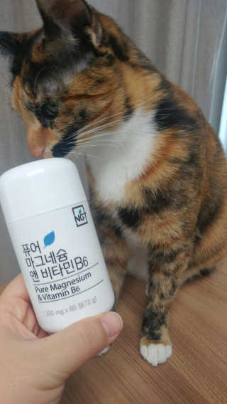 오나오나님이 올린 리뷰 사진 1