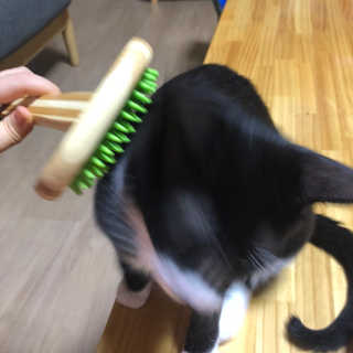 YE_BIN00님이 올린 리뷰 사진 4