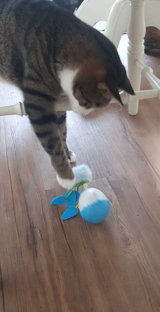 피안화님이 올린 리뷰 사진 3