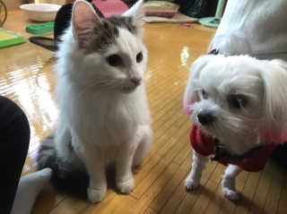 응삐님이 올린 리뷰 사진 3