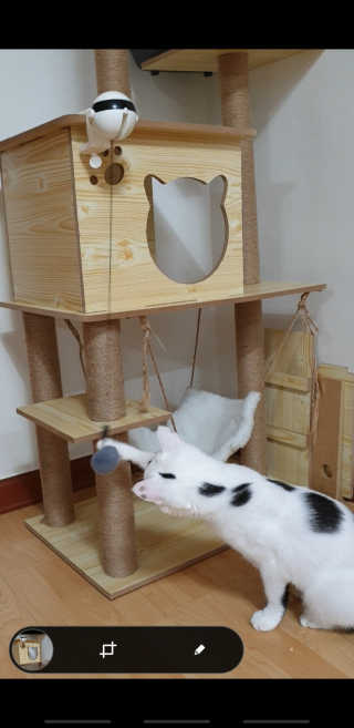 귀욤뽀짝센스쟁이님이 올린 리뷰 사진 1