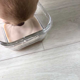 여신으니짱님이 올린 리뷰 사진 3