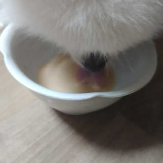 현이님이 올린 리뷰 사진 2