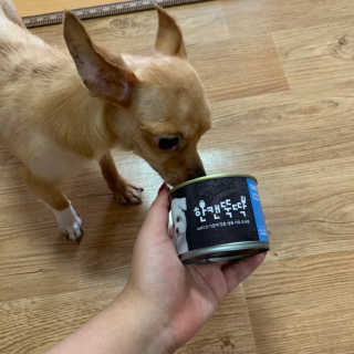 [펫토리아] 한캔뚝딱 강아지 주식캔 12종 콤보 — 5점을 준 리뷰어가 2019년 8월 올린 사용 사진