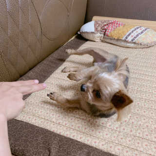 jeany91님이 올린 리뷰 사진 2