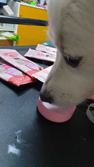 보나쉬슬림 고구마라떼 6pc+보틀 — 5점을 준 리뷰어가 2019년 6월 올린 사용 사진