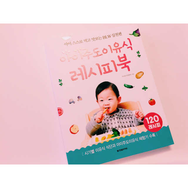 아이주도이유식 레시피북 리뷰 사진