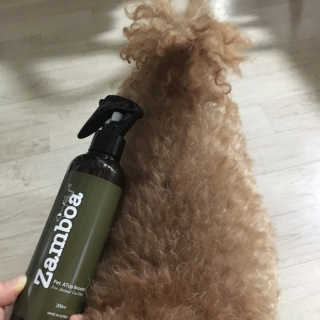 ㄴ모오러님이 올린 리뷰 사진 3