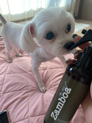 사라님이 올린 리뷰 사진 2