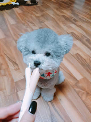 랑이랑이님이 올린 리뷰 사진 1