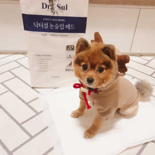 은선이짱님이 올린 리뷰 사진 2
