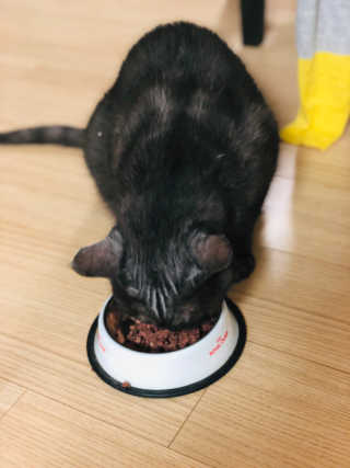 째콩이네님이 올린 리뷰 사진 3
