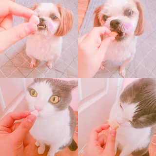 김소경님이 올린 리뷰 사진 3
