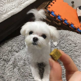 잠보아 뉴트리페어 굿바이 티어스테인 — 5점을 준 리뷰어가 2019년 10월 올린 사용 사진