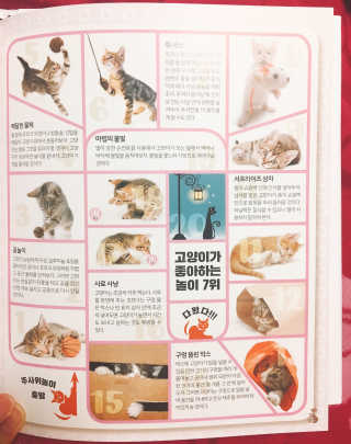 친절한지영씨님이 올린 리뷰 사진 3