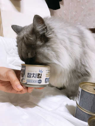 동원 참치킹 고양이 캔 12개입 — 4.5점을 준 리뷰어가 2018년 10월 올린 사용 사진