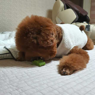 쪼꼬짱님이 올린 리뷰 사진 1