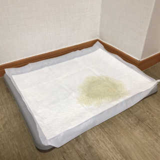 펫토리아 한장뚝딱 NEW 프리미엄 국내산 배변패드 — 4점을 준 리뷰어가 2019년 5월 올린 사용 사진