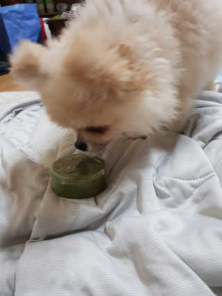 아린님이 올린 리뷰 사진 3