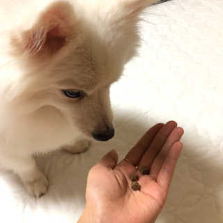 루우가님이 올린 리뷰 사진 3